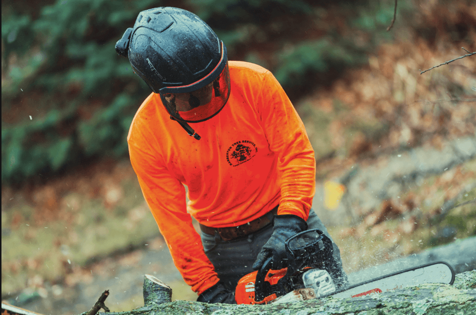 Barberton Tree Service: Expert Care for Your Trees