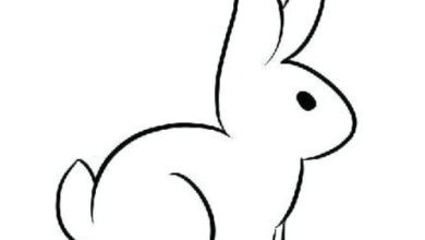 Drawing:Qckadq6trwq= Easy:Ya7ewk5rhfw= Bunny