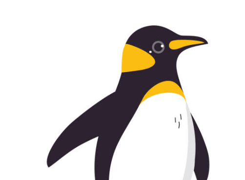 Clipart:Jekijno3fei= Penguin