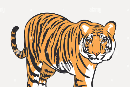 Clipart:Jmjk9np8ik4= Tiger