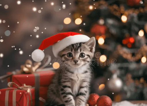 Cute:Ardt7e-Pu3w= Christmas Pictures