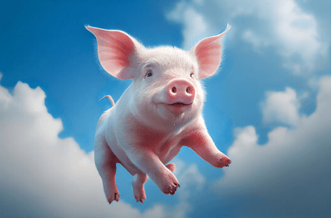 Cute:Pamwaummhqs= Pig