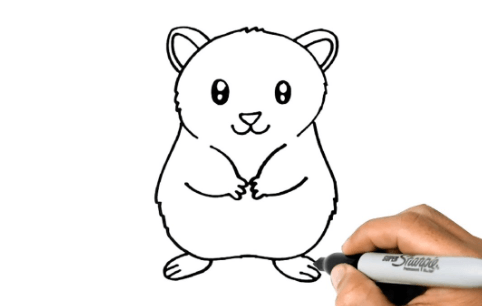 Drawing:K7otkxxtlgi= Hamster