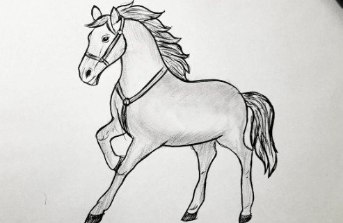 Drawing:Ljd413jlg70= Horse