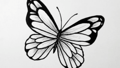 Drawing:Q5pbirjjkfa= Butterfly