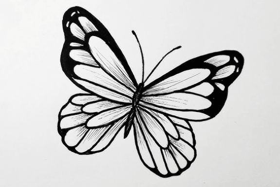 Drawing:Q5pbirjjkfa= Butterfly