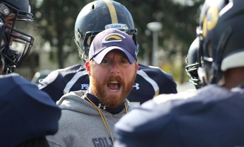 aditya bsl psu details