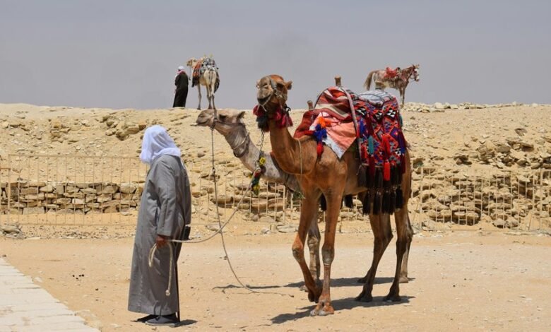 cana robe equipment details