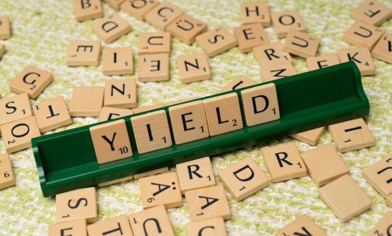 dividend yield information gmbh