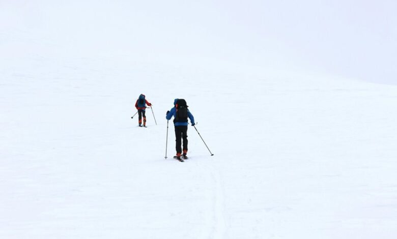 global magnitude influence network