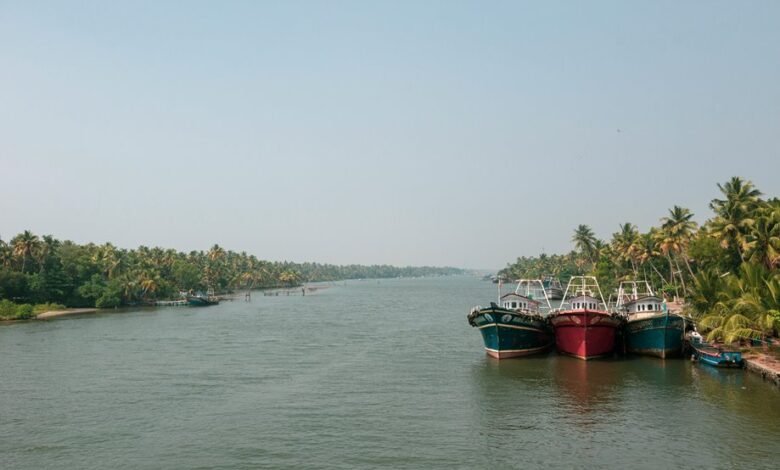 indigenous coffee growth initiative