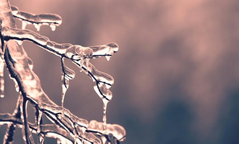 investment fund performance analysis