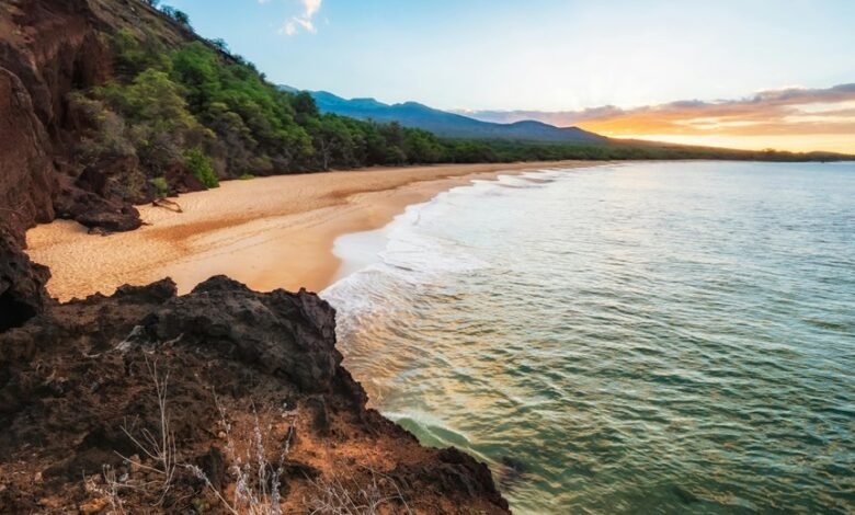 mahi manu small details