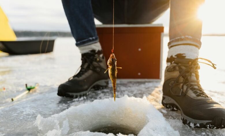 mahi manu small input