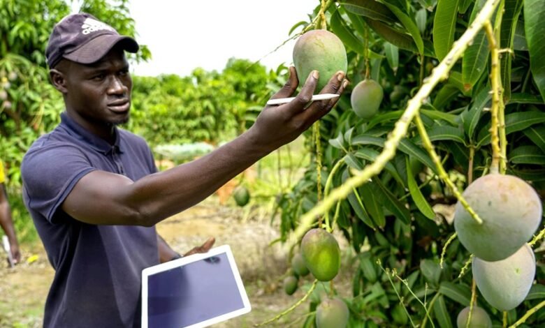 mid cap investment strategy