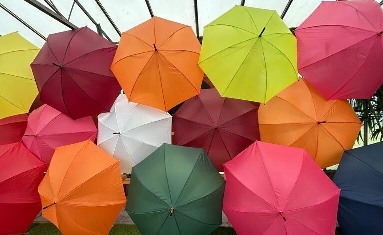 mira assembly middle bddlcl