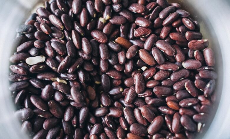 mutf in adit bsl quantity