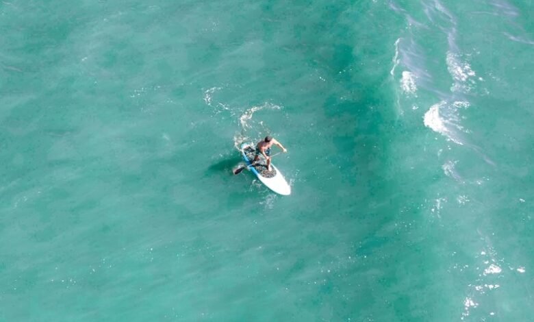 quantum activity direction input