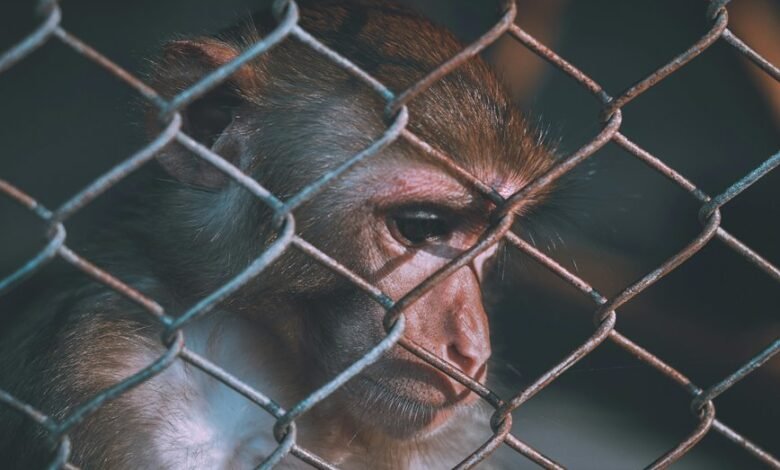 telecom ethics and security numbers