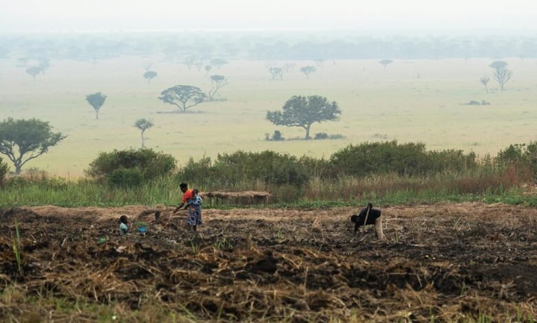 business growth performance metrics