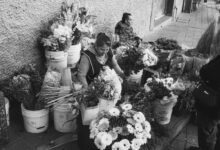 market operations data overview