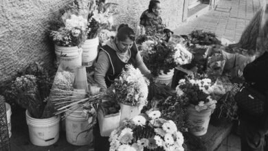 market operations data overview