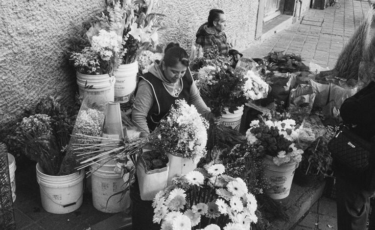 market operations data overview