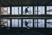 risk evaluation and management