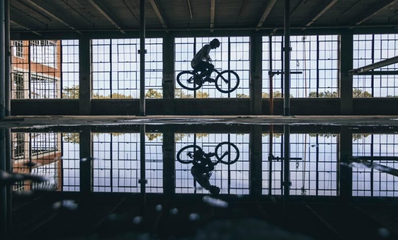 risk evaluation and management