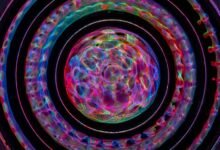 fusion wave start unlocking progressive strategies