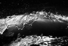 momentum crest start unlocking growth