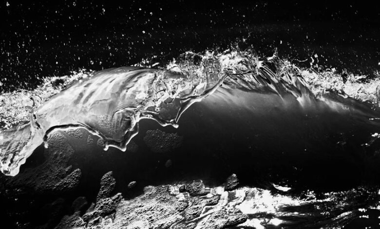 momentum crest start unlocking growth