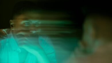 momentum prism driving visionary goals