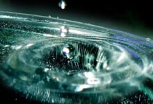 momentum wave starts accelerating ventures