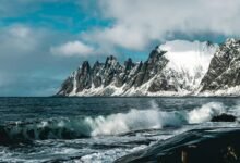 pinnacle wave shaping growth