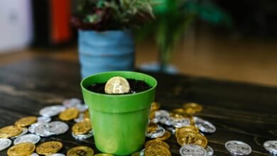 quantum crest unlocks market potential