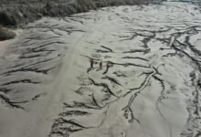 quantum wave inspires transformative impact