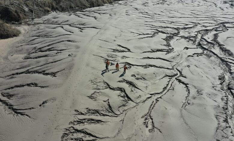 quantum wave inspires transformative impact