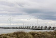 stellar surge start accelerating innovation