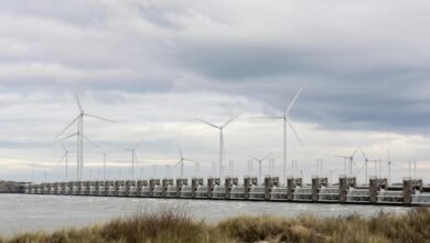 stellar surge start accelerating innovation