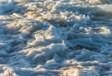 velocity crest at start leading change