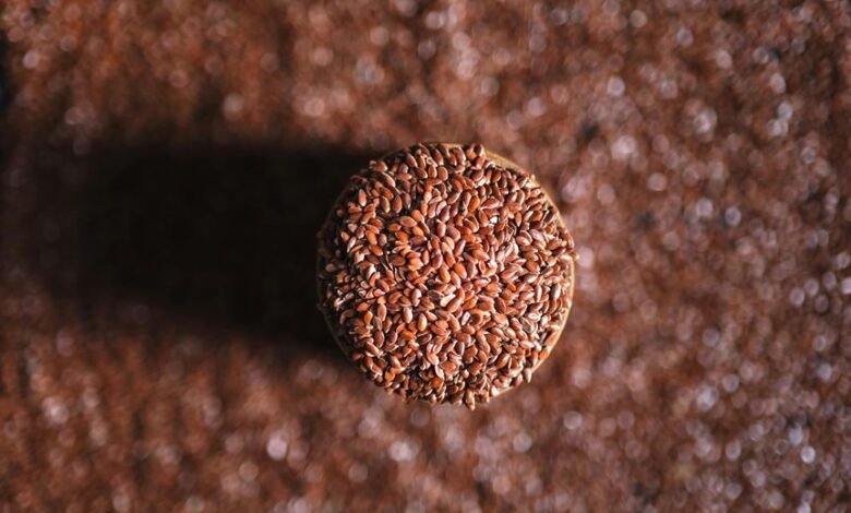 food ingredient discovery hub