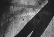 online identity research hub title