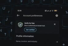 phone verification spam risk indicator
