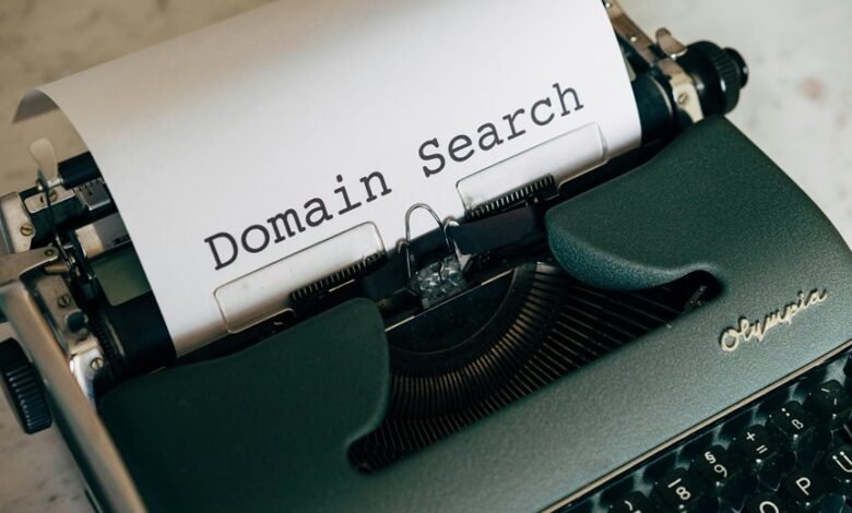 website domain insight guide focused on platform details