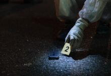 browse number registry evidence for listed ids