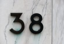 number registry report ids 3513114497 3358172584 3772312172 3423167169 3806919795