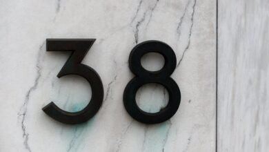 number registry report ids 3513114497 3358172584 3772312172 3423167169 3806919795