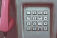 public numbers registry accessed successfully