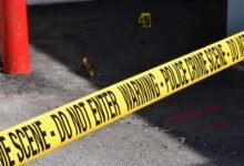 registry entries 5 investigations summarized